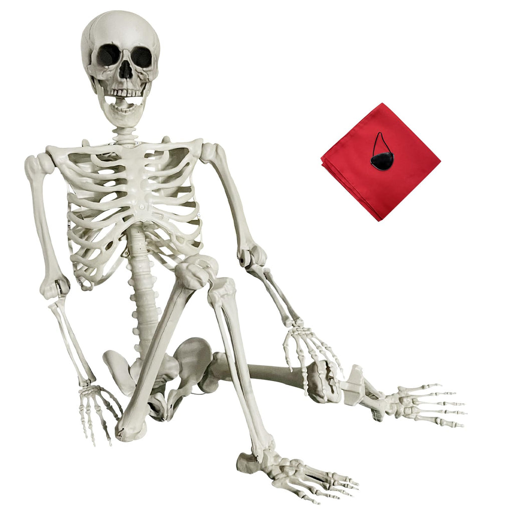 Life Size Skeleton with Posable Joints Q7940
