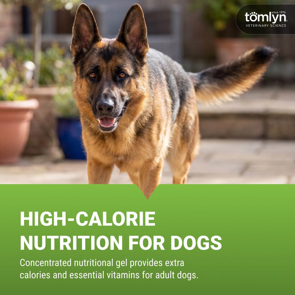 Malt-Flavored High-Calorie Nutritional Gel for Dogs, 4.25oz O25305