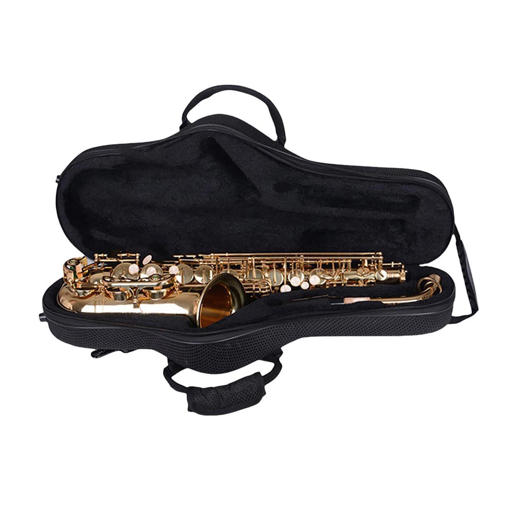 Black Alto Saxophone Case L2911