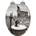 Elongated Slow Close Resin Toilet Seat Q642