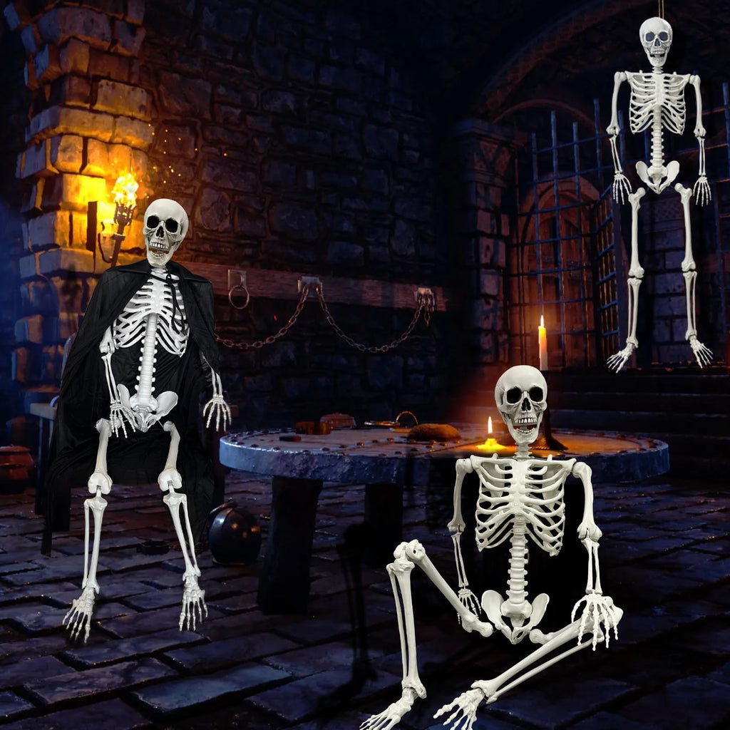Life Size Skeleton with Posable Joints Q7940
