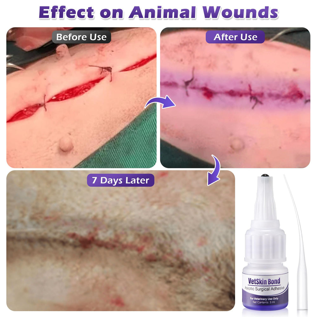 3ml Veterinary Surgical Skin Glue with 10 Applicators H9116