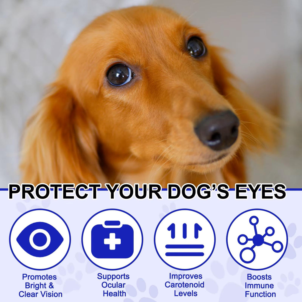 Omega 3 DHA Dog Eye Health Supplements, 180 Count F59303
