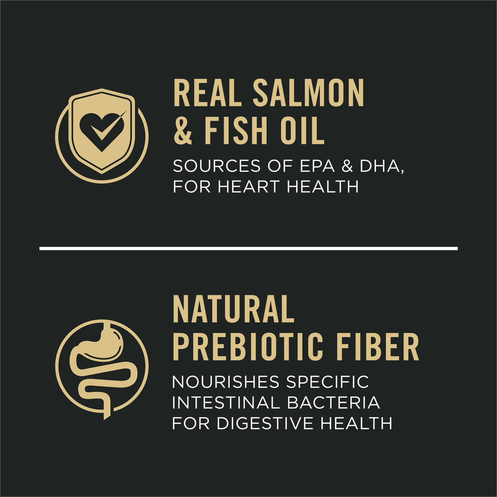 Salmon Dry Dog Food 16 lb Bag Y665636