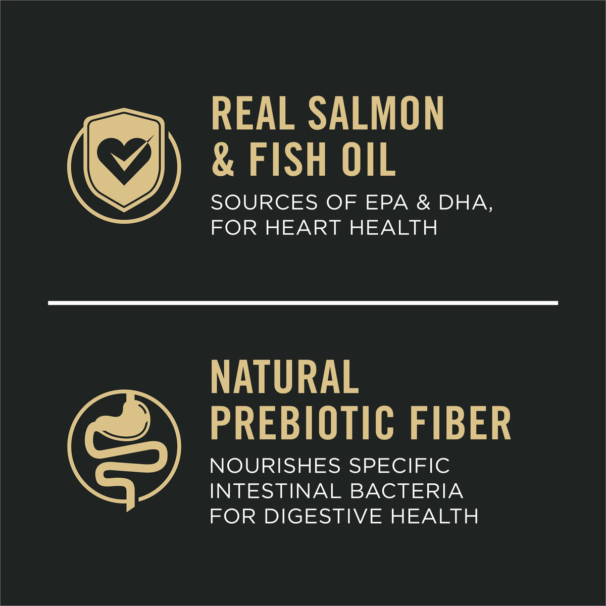 Salmon Dry Dog Food 16 lb Bag Y665636