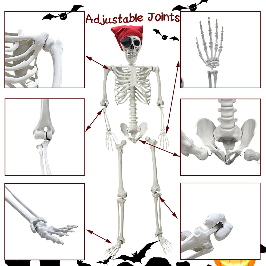 Life Size Skeleton with Posable Joints Q7940