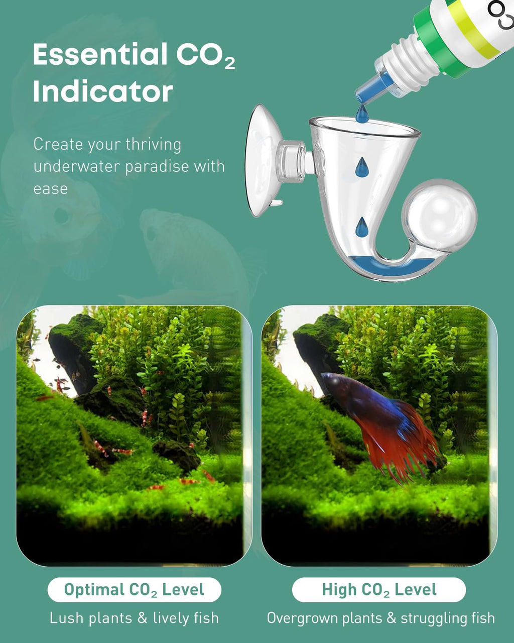 Glass CO2 Drop Checker for Aquarium J20258