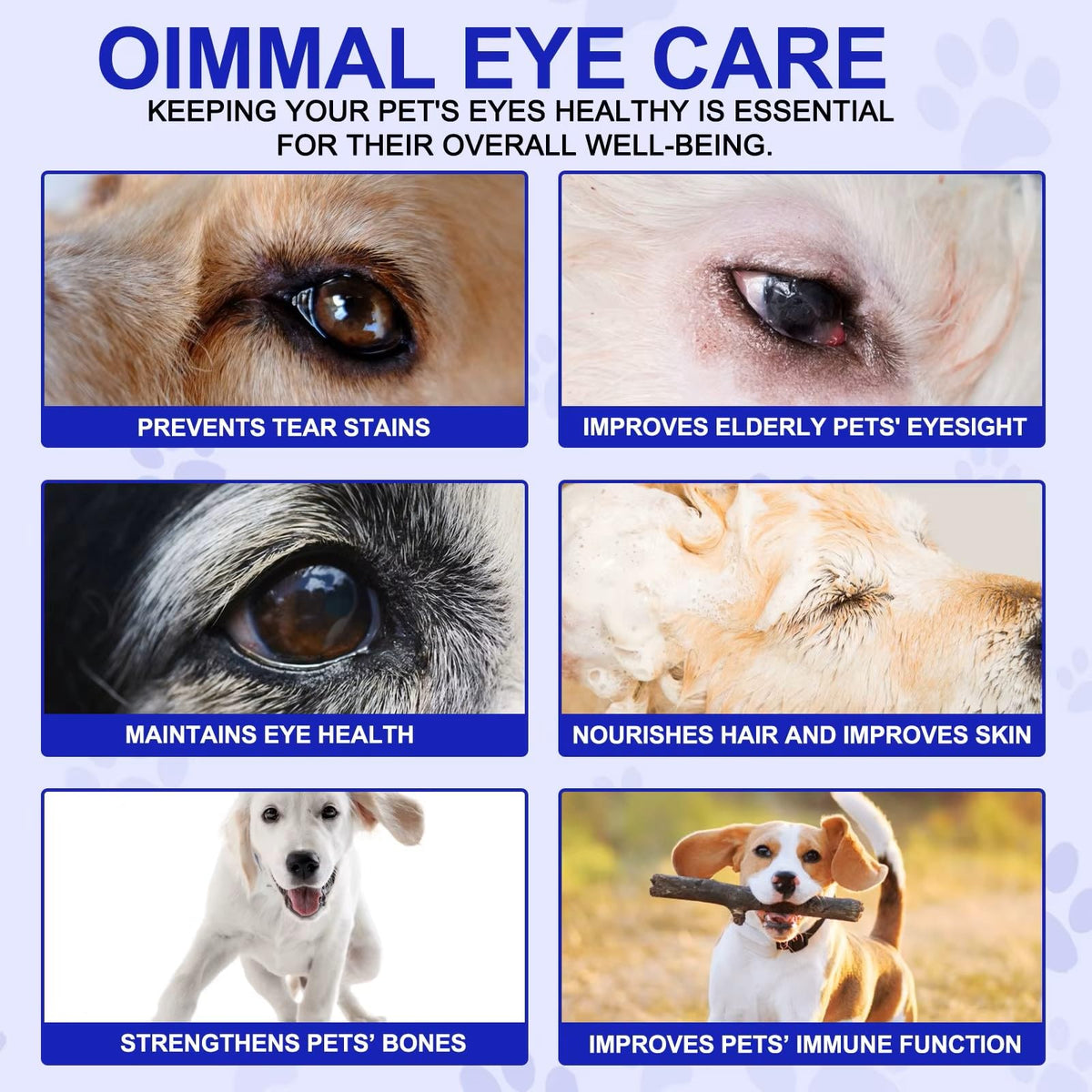 Omega 3 DHA Dog Eye Health Supplements, 180 Count F59303