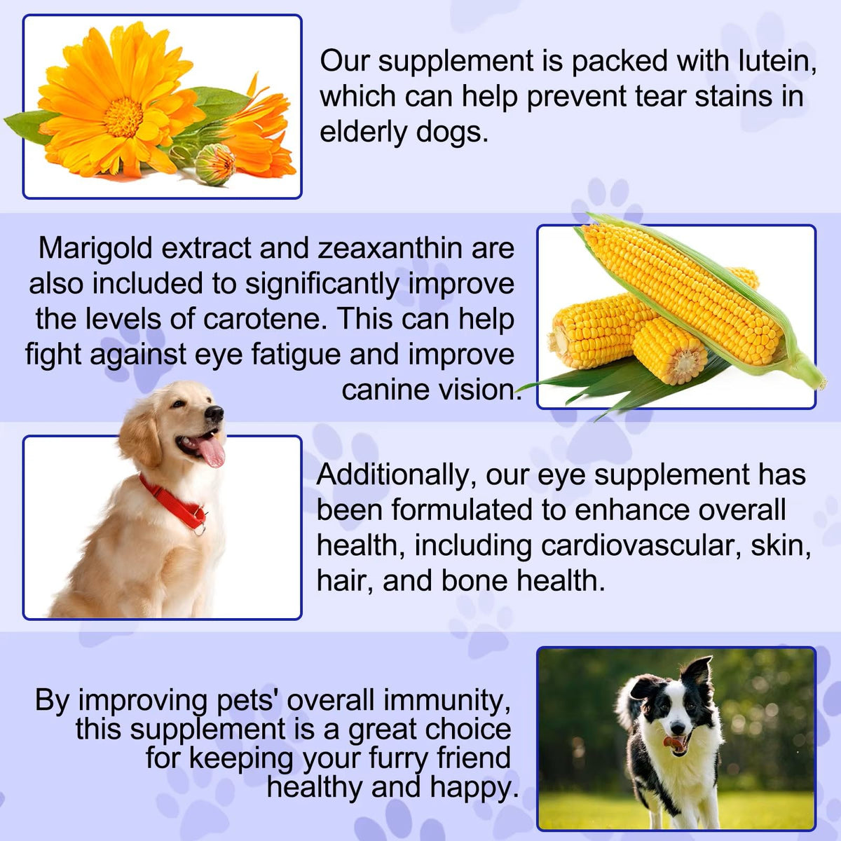 Omega 3 DHA Dog Eye Health Supplements, 180 Count F59303