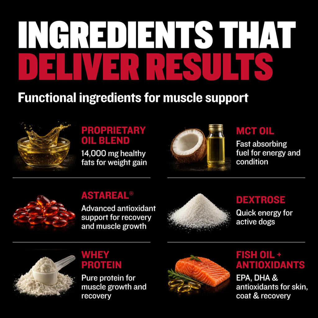 Liquid Dog Muscle Builder Supplement 16 oz P853