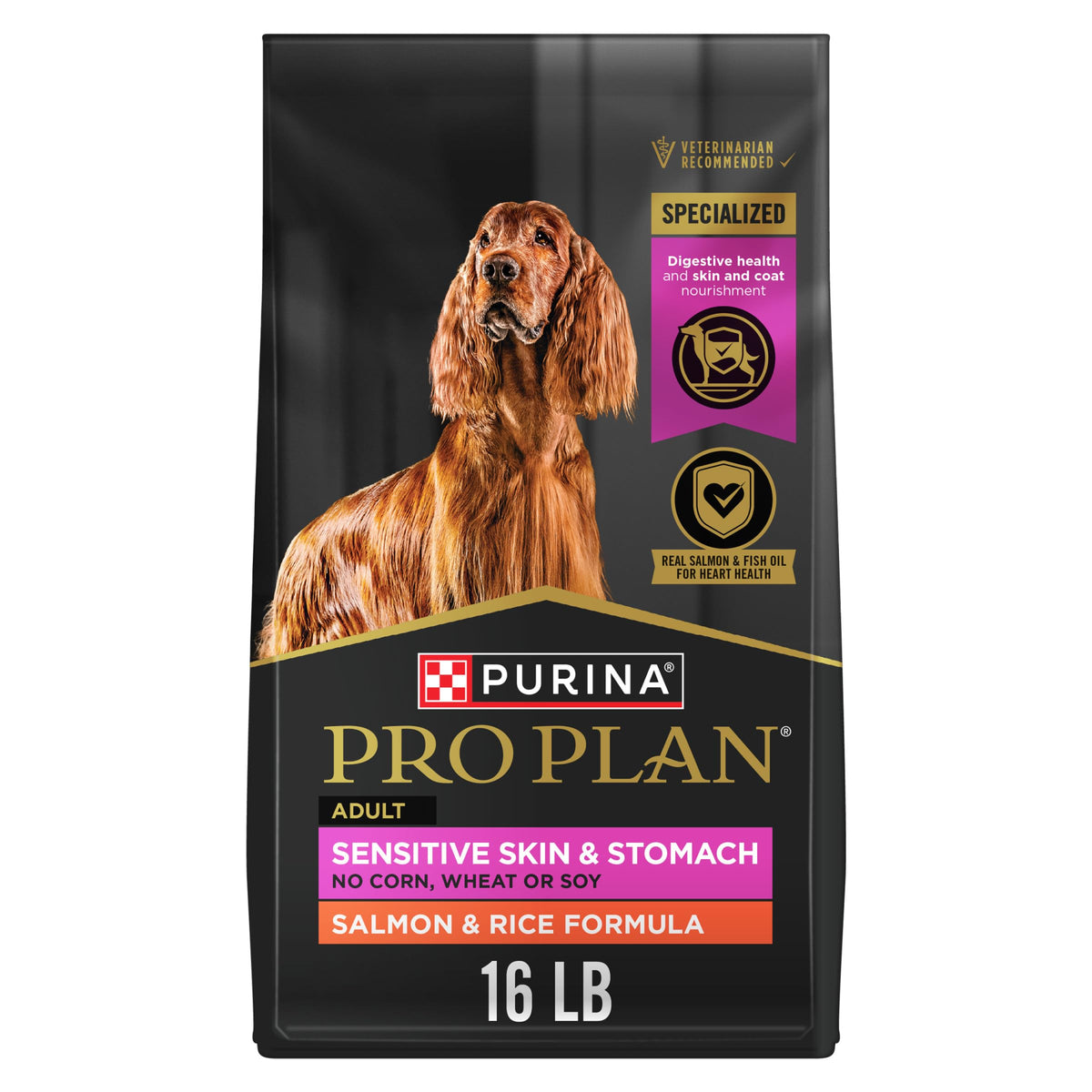 Salmon Dry Dog Food 16 lb Bag Y665636