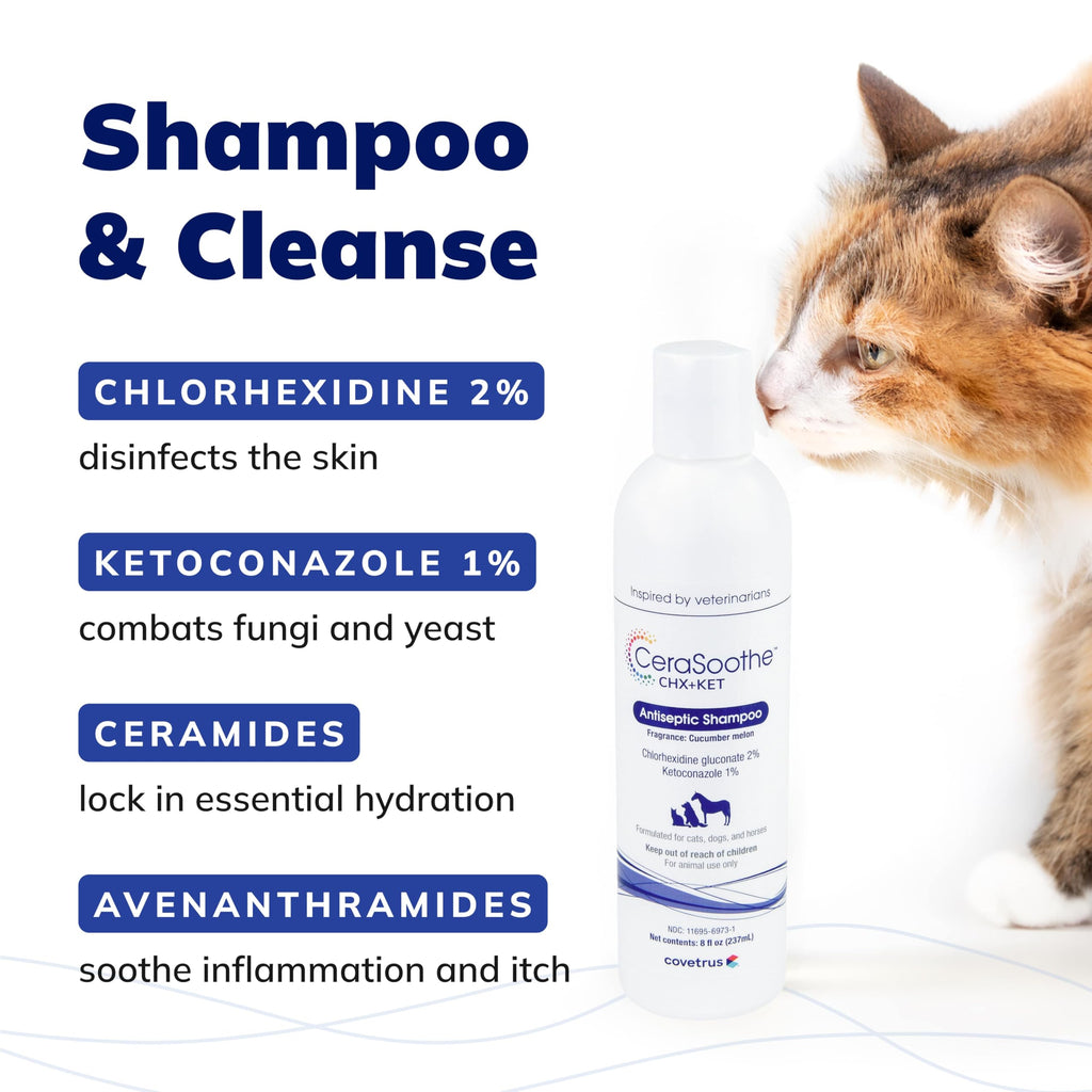 Chlorhexidine Ketoconazole Antiseptic Shampoo 16 oz J776648