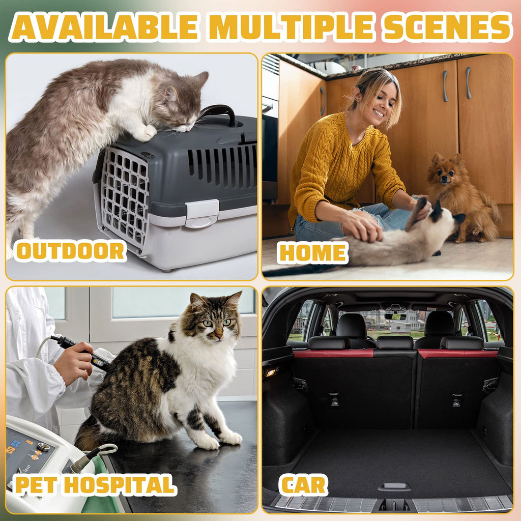 50 Pack Disposable Cat Litter Box D496