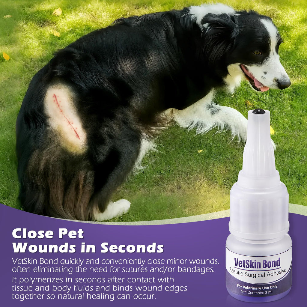 3ml Veterinary Surgical Skin Glue with 10 Applicators H9116