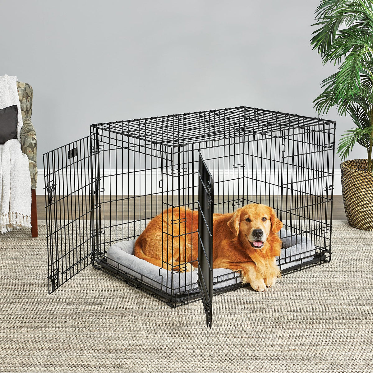 42-Inch Double Door Crate N60332